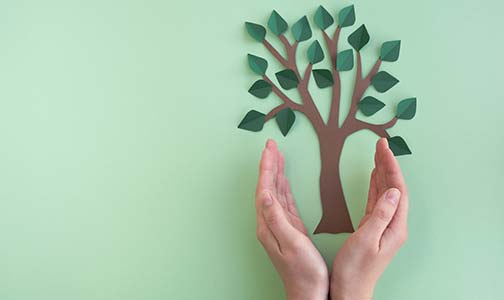 If We Want to Become a Good Tree - Elohist