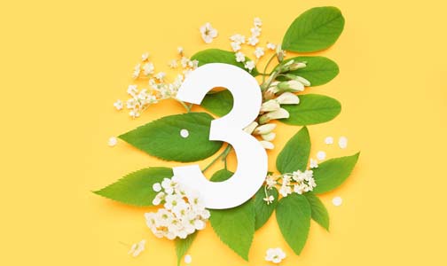 Jan 2026_Confessing My Love to Mom - Elohist